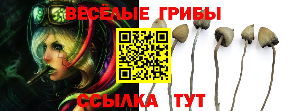 Псилоцибиновые грибы Cubensis  Псилоцибиновые грибы Psilocybe  Ревда  Вход с VPN 